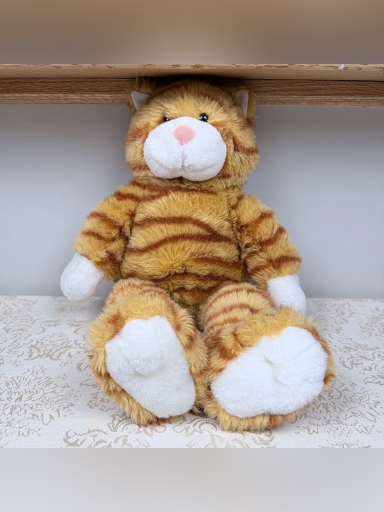 Build-A-Bear Other - Build-A-Bear Orange and White Tabby Cat Plush Toy